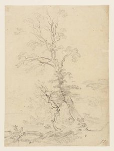 Study Of A Tree — Paul Sandby