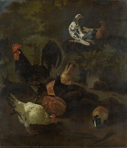 Jacomo Victors