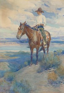 Cowboy on Horse