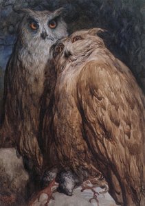Two Owls — Paul Gustave Doré, Romanticism