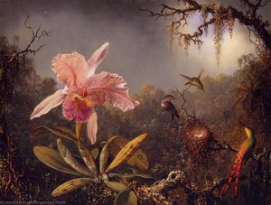 Cattleya Orchid And Three Brazilian Hummingbirds — Martin Johnson Heade, Luminist Landscape
