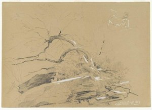 Catskills — David Johnson