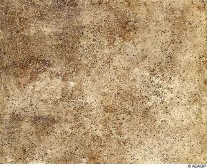 Earth's Mantle — Jean Philippe Arthur Dubuffet