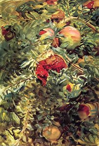 Pomegranates — John Singer Sargent