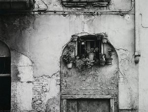 Urban Nature — Joaquín Morales Molero