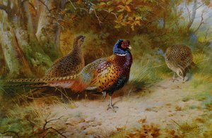 Autumn Covert — Archibald Thorburn