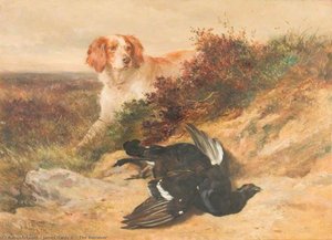 The Retriever — James Hardy Ii