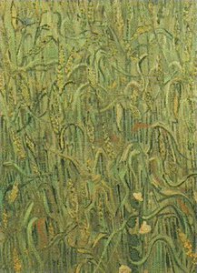 Ears Of Wheat — Vincent Willem Van Gogh