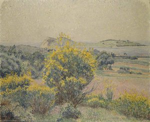 Broom, Le Brusq — Lucien Pissarro