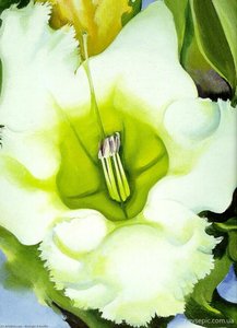 Cup Of Silver Ginger — Georgia O'keeffe