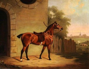 A Saddled Bay Hunter outside a Stable Entrance