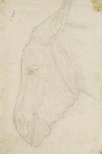 Head Of A Donkey — John Frederick Lewis