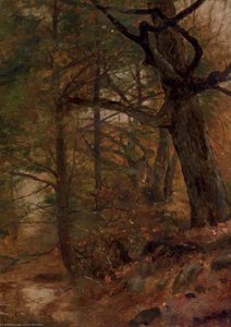 A Grove of Trees, Ashokan, New York