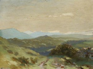 Irish Landscape