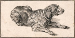 Reclining Dog, C. 1645 — Aelbert Jacobszoon Cuyp