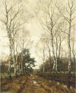 Birches In Autumn