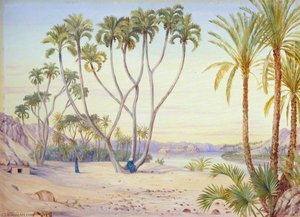 Doum And Date Palms On The Nile Above Philae, Egypt — Marianne North, Victorian Romanticism