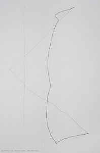 44th Wire Piece — Richard Tuttle