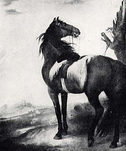 Horse, (painting) — John Singleton Copley