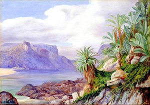 Looking Up Stream From The Mouth Of The St John's River, Kaffraria — Marianne North