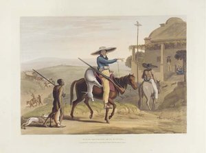 African Scenery And Animals At The Cape Of Good Hope - — Samuel Daniell
