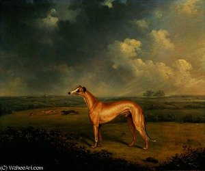 Reverend Henry Bate Dudley's Greyhound — Henry Bernard Chalon