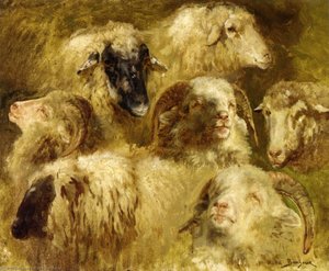 Heads Of Ewes And Rams — Rosa Bonheur