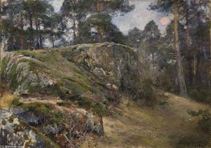 Rocher Dans Une Foret — Bruno Andreas Liljefors