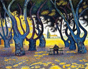 Plane Trees, Place des Lices, Saint-Tropez, Opus 242