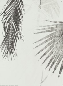 Areca — Luiz Zerbini