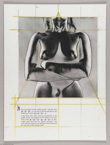Untitled (nude Female Torso, Solarized) — Joseph Cornell