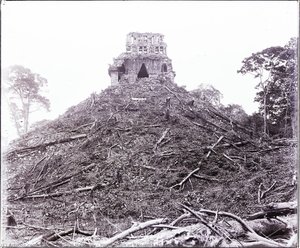Photograph Of Palenque Taken By A.p. Maudslay — Alfred Percival Maudslay