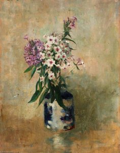 Phlox — Benjamin Haughton
