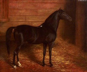 Arab Horse, The Second Sire — Jacques Laurent Agasse, Academic Realism