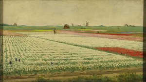 Tulip Fields, Gerrit Willem Dijsselhof, 1890 - 1922 — Gerrit Willem Dijsselhof