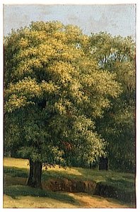 Le Grand Arbre — Pierre De Valenciennes
