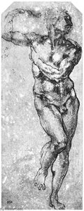 Nude Man Turned To The Right — Michelangelo Buonarroti