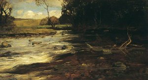 Swollen Waters