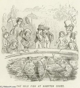 The Gold Fish At Hampton Court — John Leech