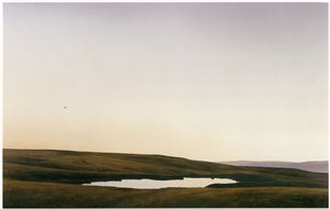 Stock Pond With Harrier — Grahame Sydney