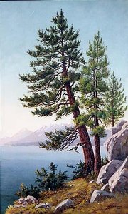 Pines, Lake Tahoe, (painting) — Grafton Tyler Brown