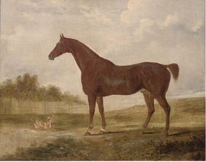 A Chestnut Hunter And A Terrier In An Extensive Landscape — Edwin Cooper