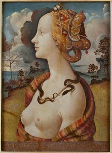 Portrait Of A Woman, Said To Be Of Simonetta Vespucci — Piero Di Cosimo (piero Di Lorenzo)