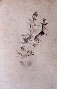 Sketch Of Trees 2 — Ovidio Murguía De Castro