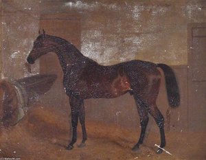 Bay 'middleton', Winner Of The Epsom Derby — Benjamin Marshall