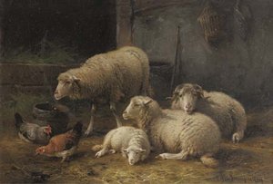 Intérieur D'étable Avec Moutons