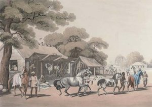 Sices, Or Grooms, Leading Out Horses; A Tiger Prowling Through A Village