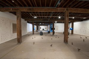 Primitive — Ugo Rondinone
