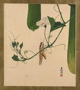 Lacquer Paintings Of Various Subjects Grasshopper On Gourd Vine — Shibata Zeshin