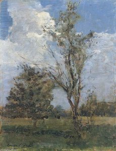 Campaign With Trees — Emma Ciardi